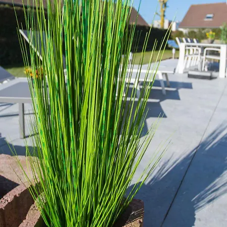 Beautiful Detached With Spacious Garden And Infrared Sauna, 800 M From The Sea Villa Middelkerke